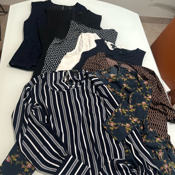 ann taylor loft blouses